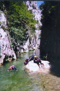 photo d'une vasque